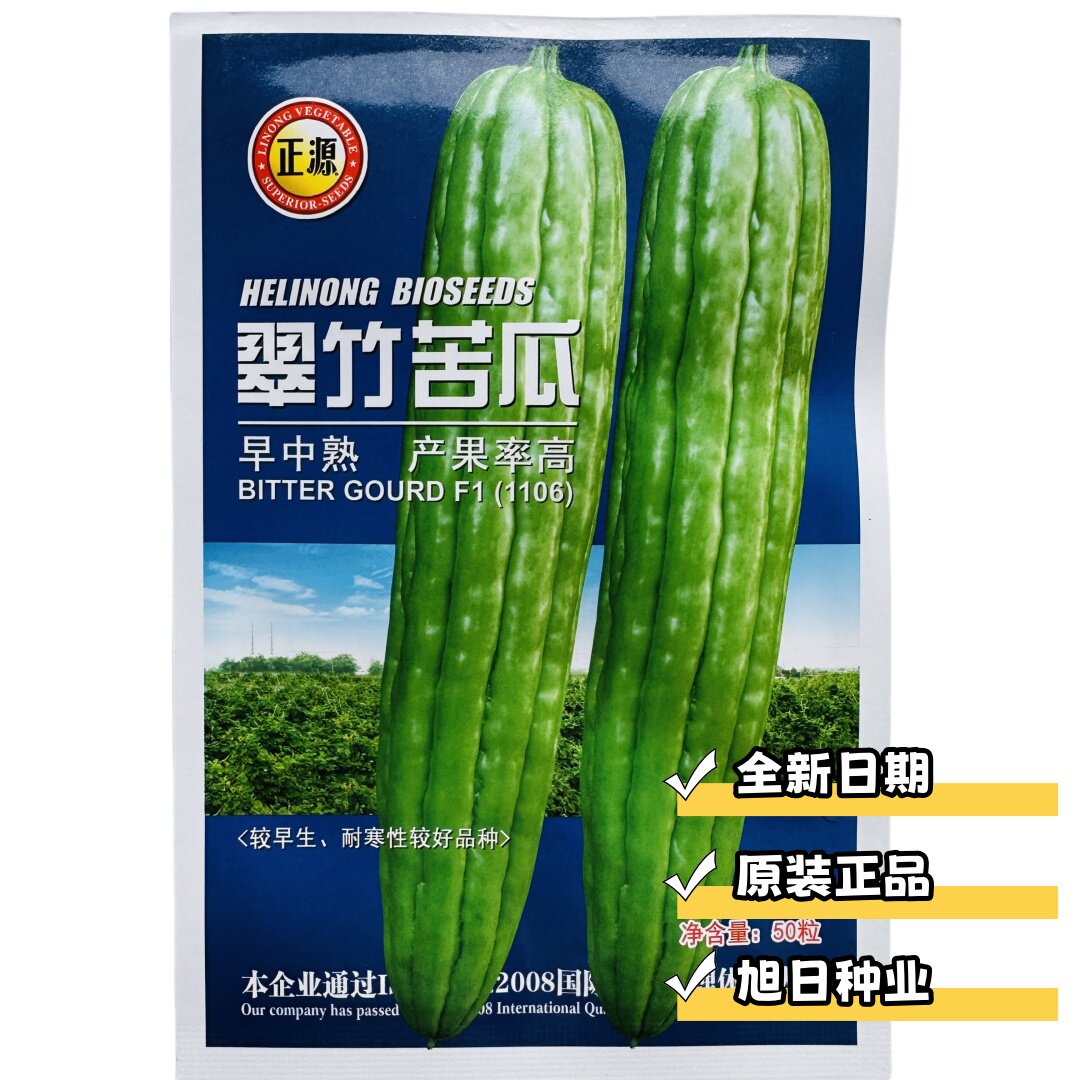 厚肉杂交油苦瓜种籽疙瘩油青苦瓜