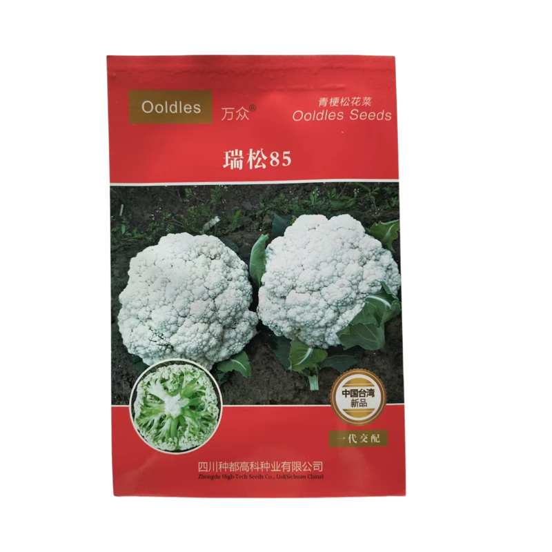 万众瑞松65/85天白色菜花青梗松花菜种子耐热蔬菜种子耐高温