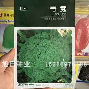 川禾青秀西蓝花种子耐寒花王西兰花种籽青花菜种进口秋冬蔬菜种孑