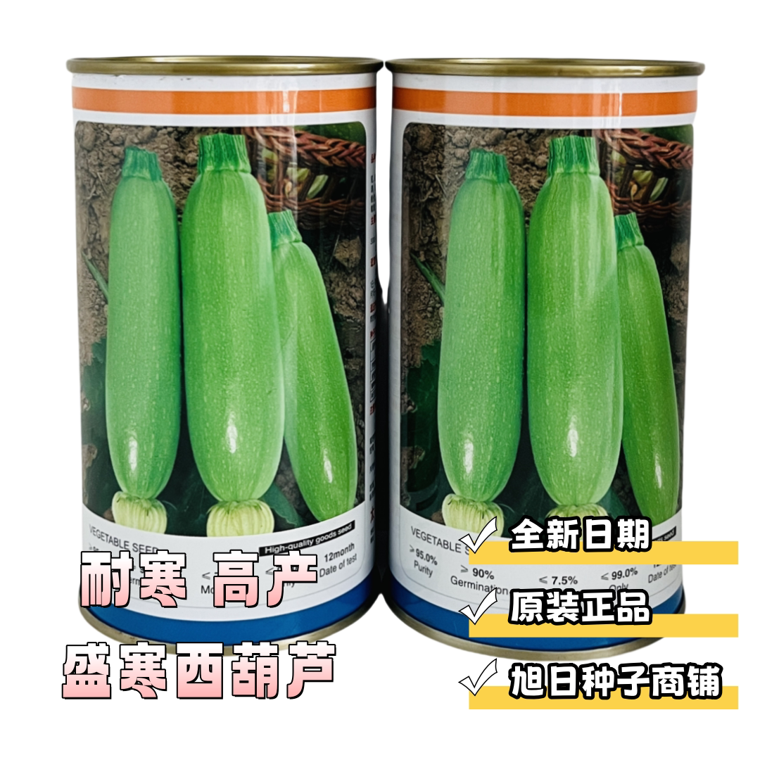 胜寒耐寒西葫芦种子种籽