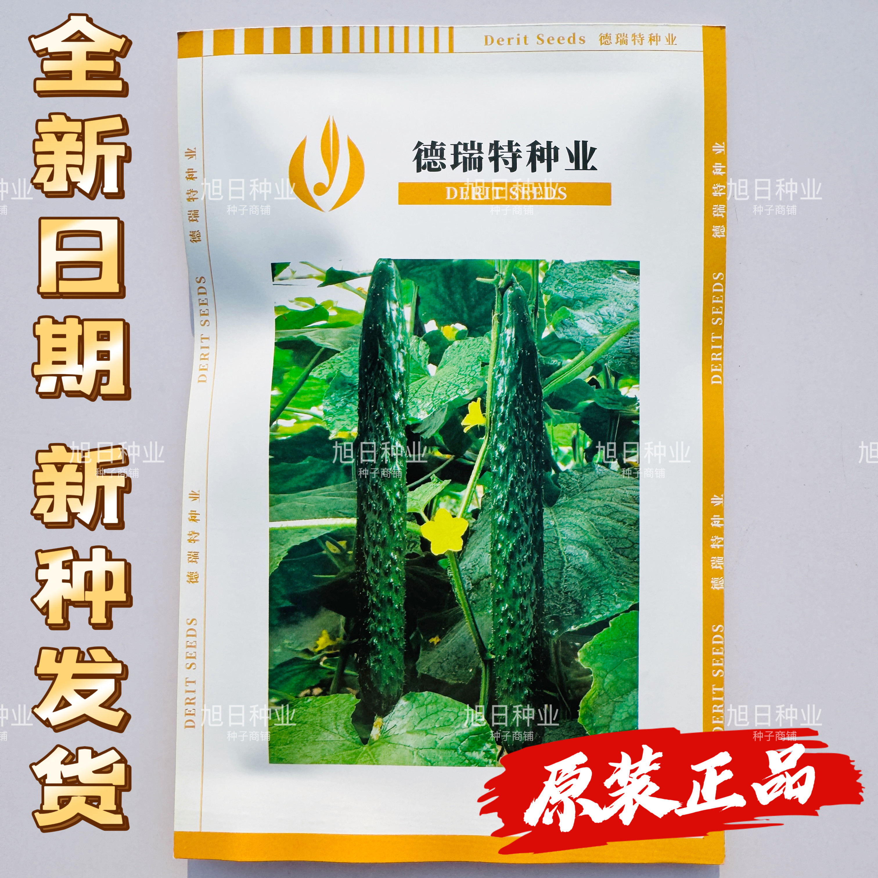 德瑞特博美61黄瓜种子油亮黄瓜粗短把密刺瓜条顺直绿皮绿肉黄瓜