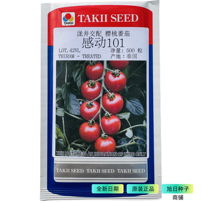 日本泷井感动101番茄种子