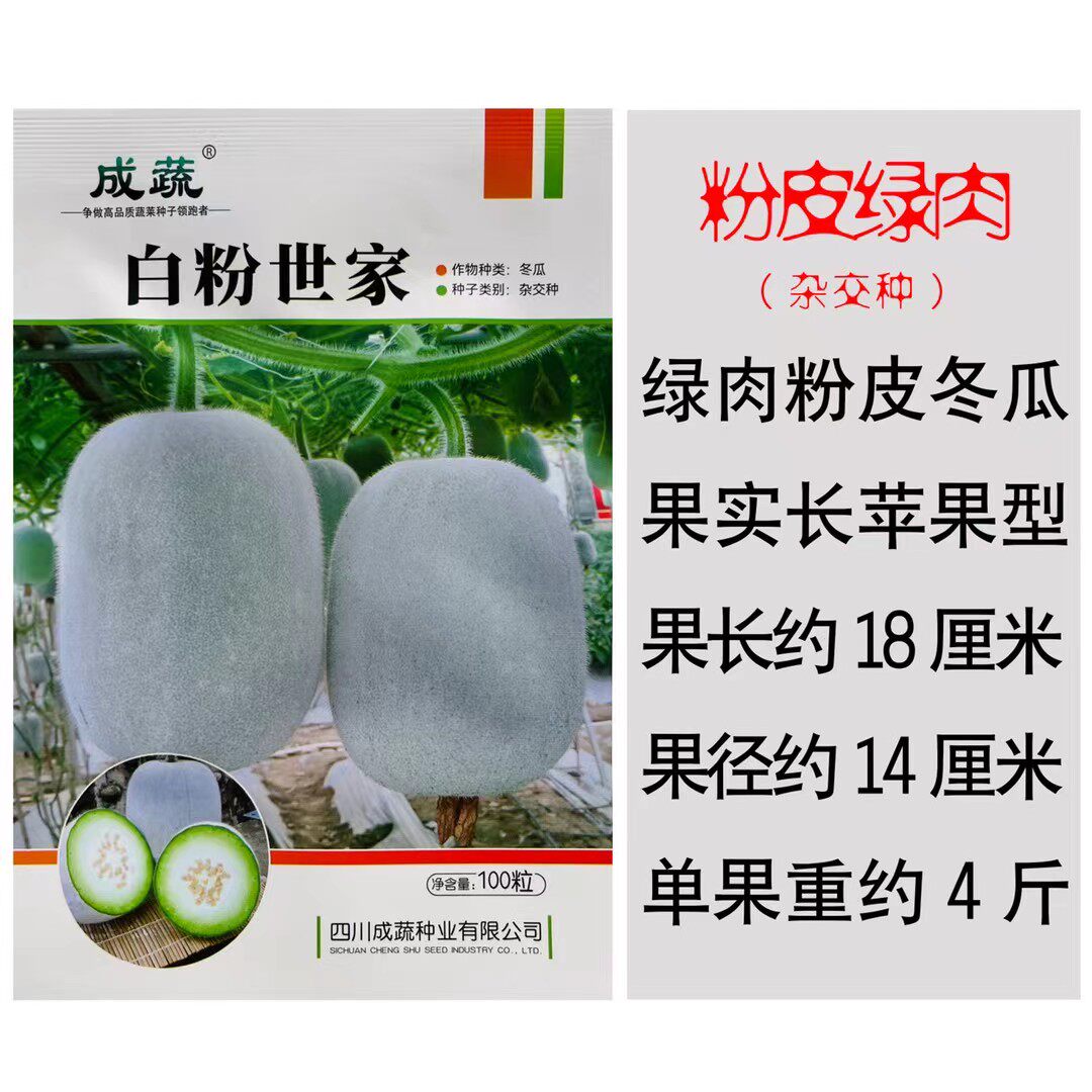 白粉世家粉皮小冬瓜种籽五叶早米冬瓜种子高产厚肉籽少农春秋季播