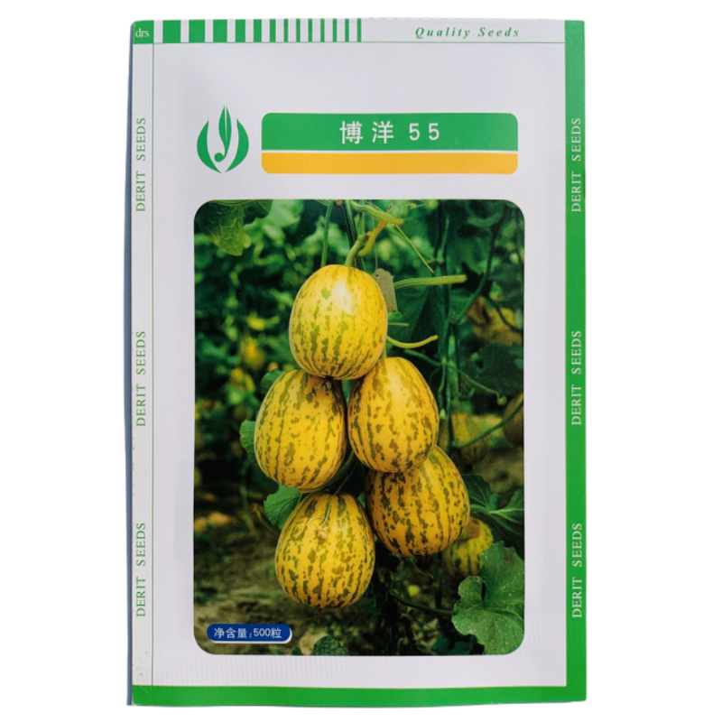 德瑞特博洋55薄皮甜瓜种子