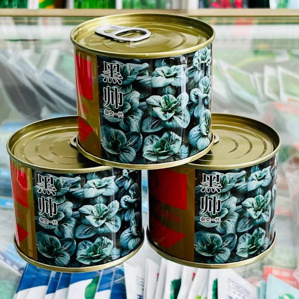 黑帅青菜种种子耐寒青梗菜蔬菜四季苏州青种叶片深绿100克
