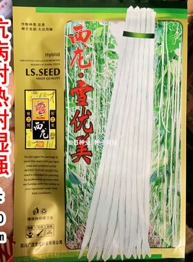 豇豆种籽雪优美白色长豆角种子肉厚无鼓高产春季秋季特色蔬菜种孑