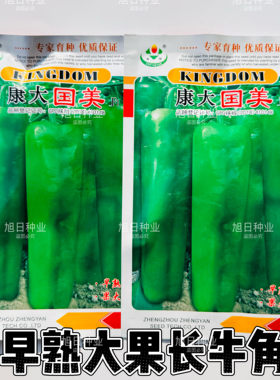 康大国美早熟大果牛角椒种子早熟果皮绿色肉厚高产春秋季椒种籽孑
