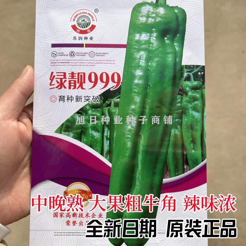 苏润靓绿999大果薄皮牛角椒