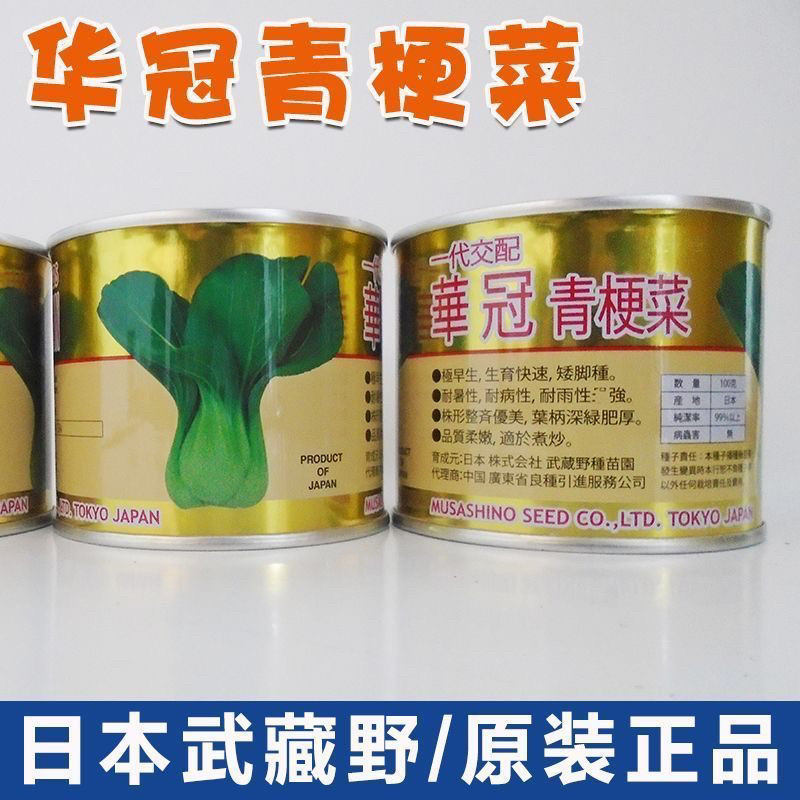 华冠青梗菜种子一代杂交耐热耐抽苔青菜种子耐高温青梗菜种籽孑