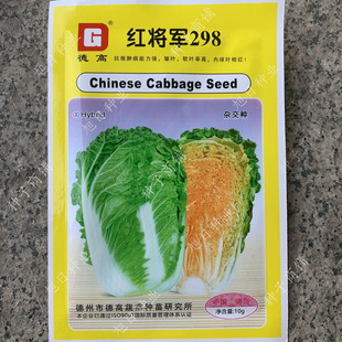 青硕秋播白菜种子改良青杂秋季越冬王黄心菜抗病高产青帮大白菜籽