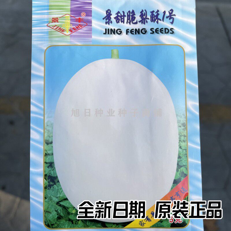 景甜脆梨酥1号厚白皮红肉甜瓜种