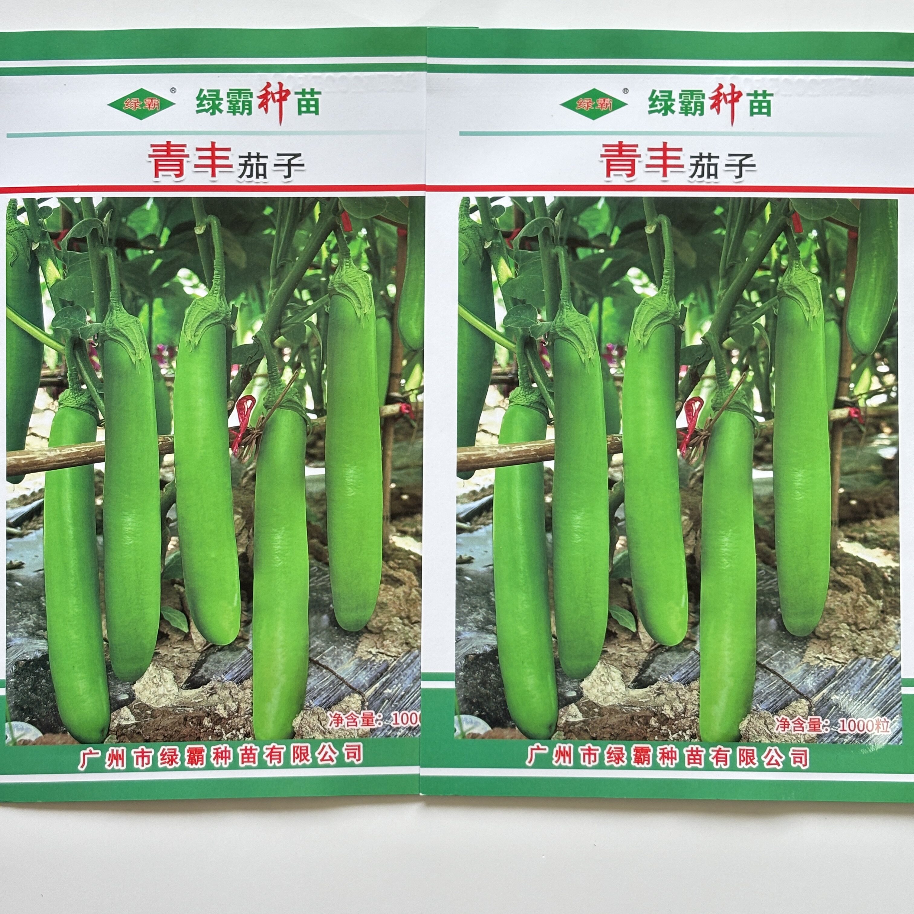青丰茄子种子中早熟杂交一代油绿长绿茄种子青长茄种籽孑肉质细嫩