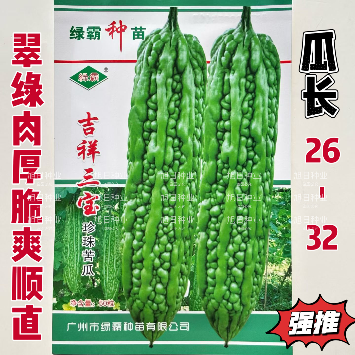 吉祥三宝珍珠苦瓜种子籽早熟杂交光亮翠绿肉厚带刺瘤脆爽甜可生吃