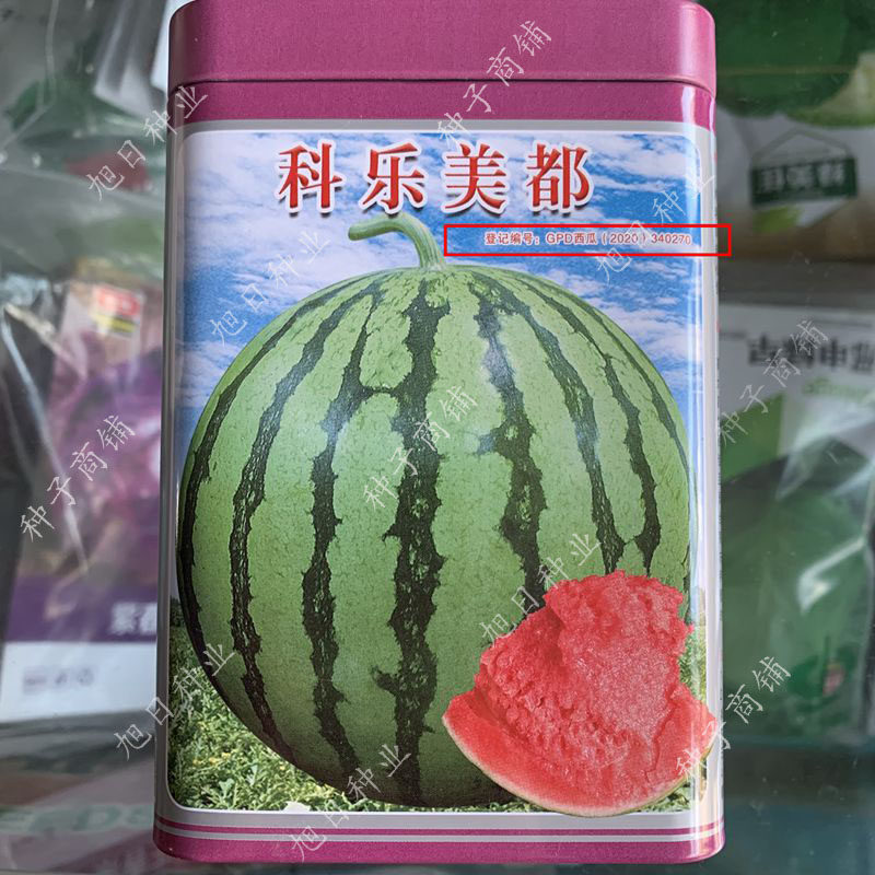 西瓜种籽孑科乐美都早熟籽少甜西瓜种子花皮红瓤超甜春季四季瓜果
