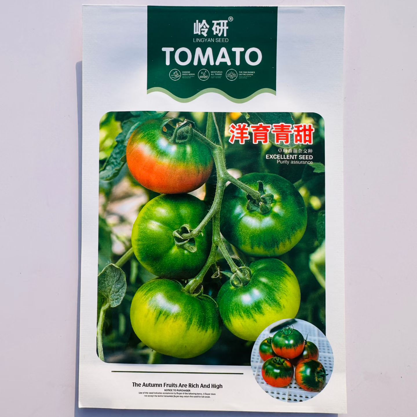洋育青甜草莓番茄中早熟品种线状绿果肩浓绿口感好小时候的味道