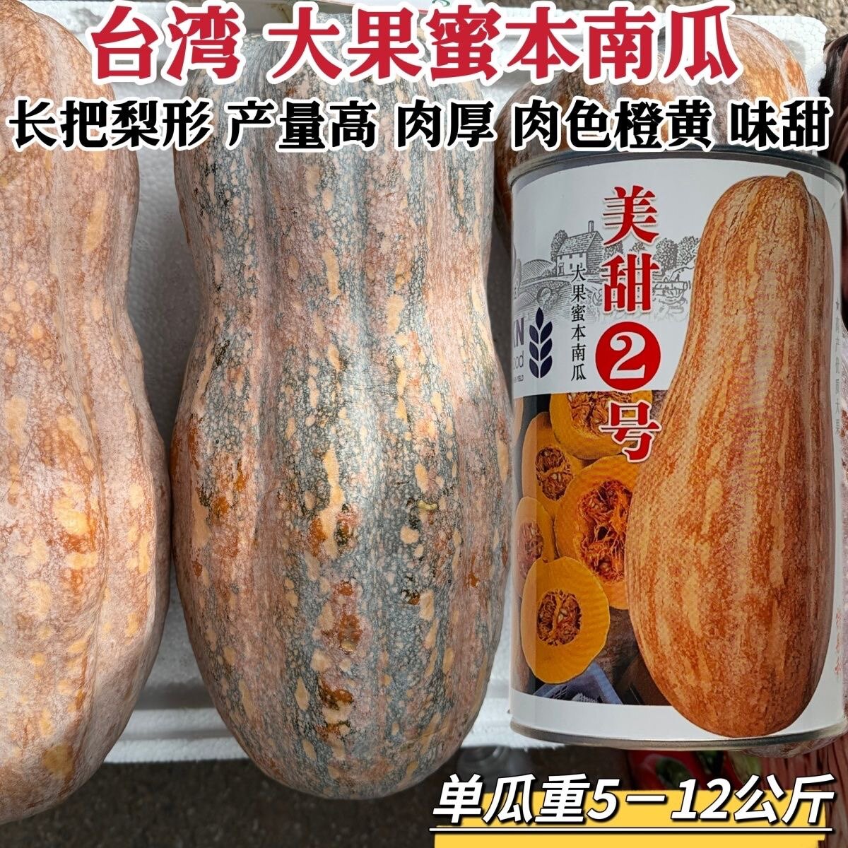 美甜2号南瓜种子大果型蜜本南瓜种子高产优质大果台湾蜜本南瓜种