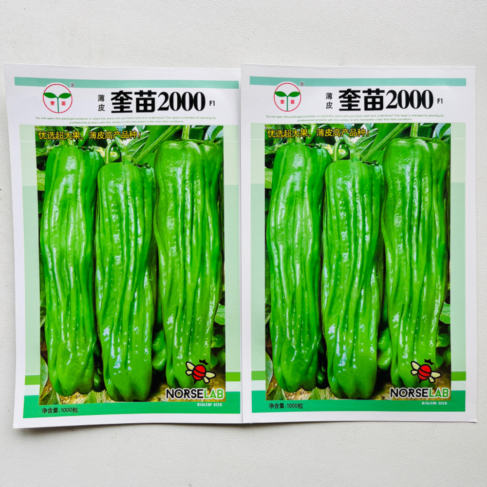 薄皮奎苗2000辣椒种子早熟高产抗病耐热大果薄皮泡椒种籽春秋播种