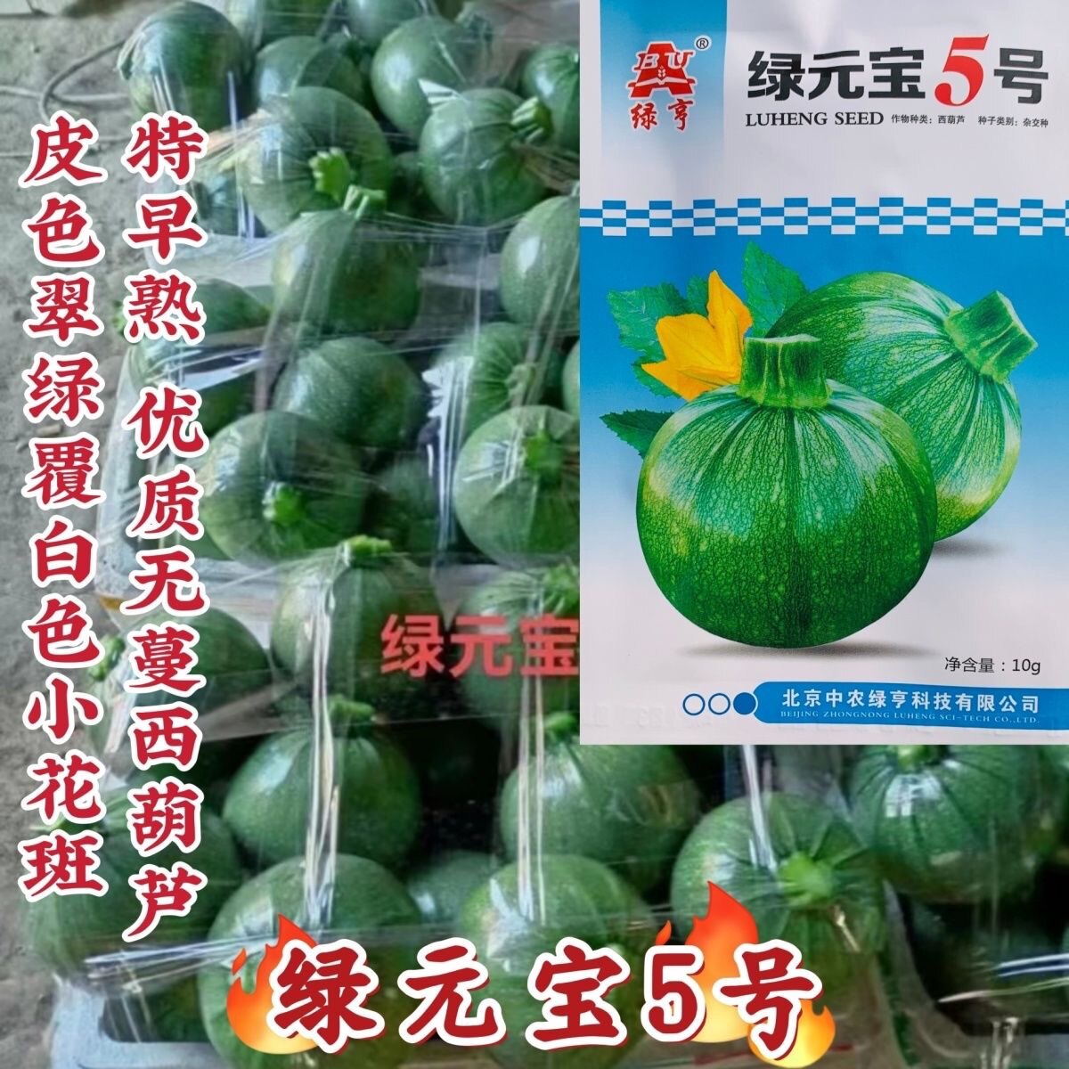 绿元宝5号西葫芦种子无蔓南瓜