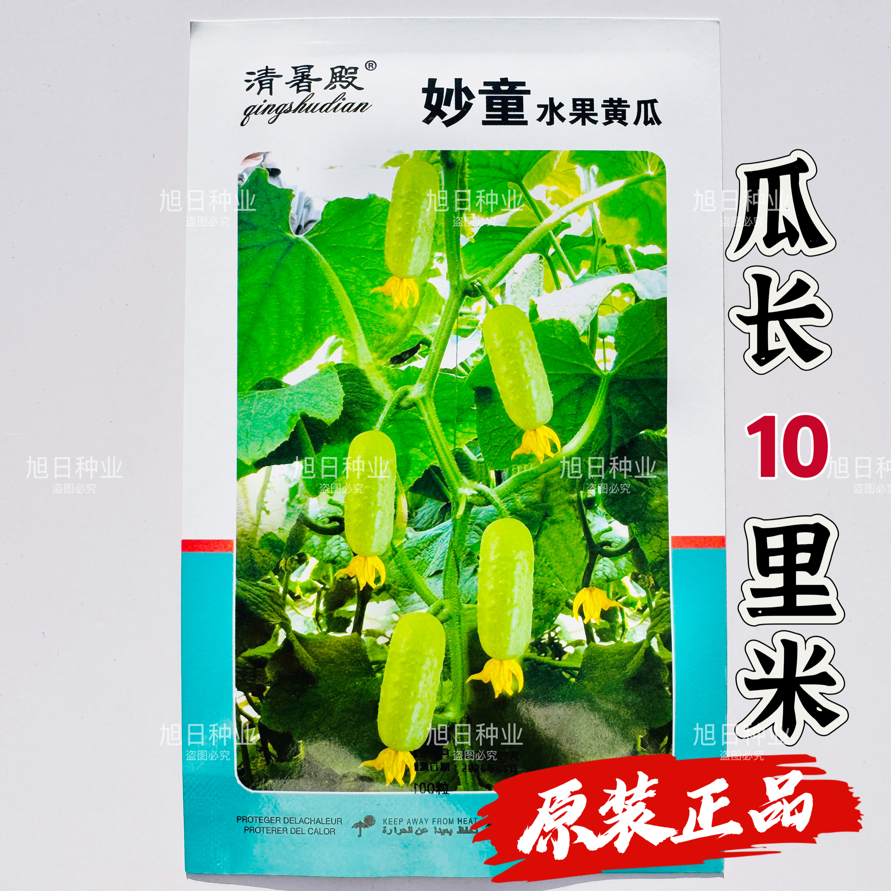 妙童白绿色水果黄瓜种子杂交一代早熟抗病短柱形肉质脆嫩清香爽口