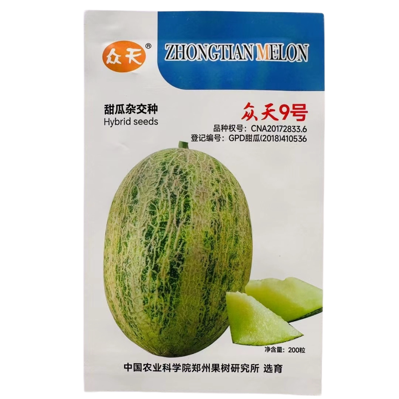 众天9号甜瓜种子中熟网纹厚皮香瓜种子肉脆细嫩无渣春秋水果种子