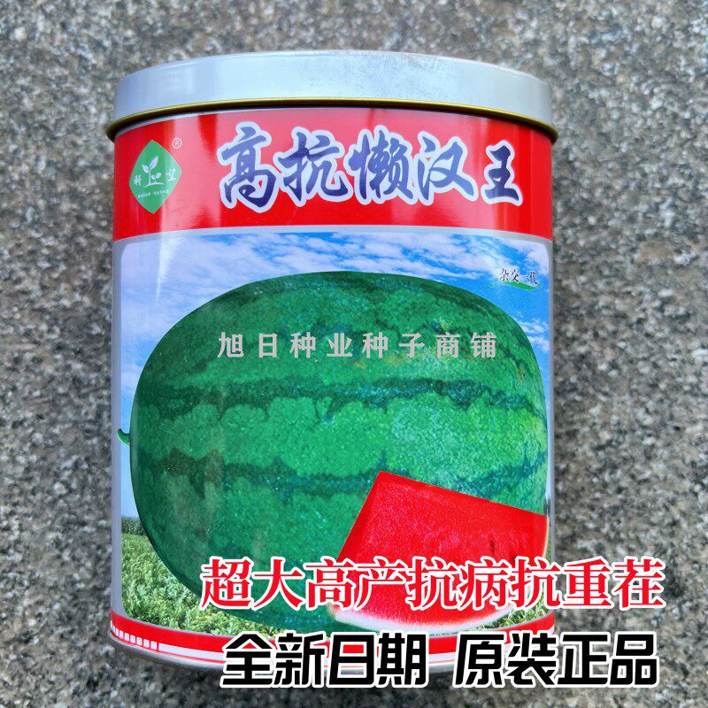 科乐懒汉王抗旱耐重茬西瓜种子