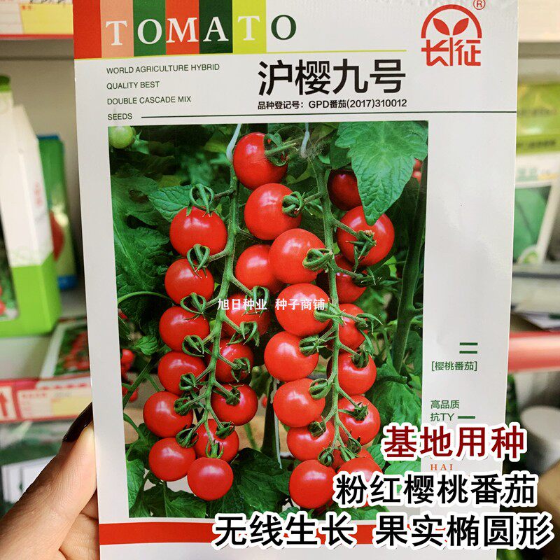 小番茄种籽沪樱九号粉红樱桃番茄种子 抗TV病毒 大棚基地水果种孑