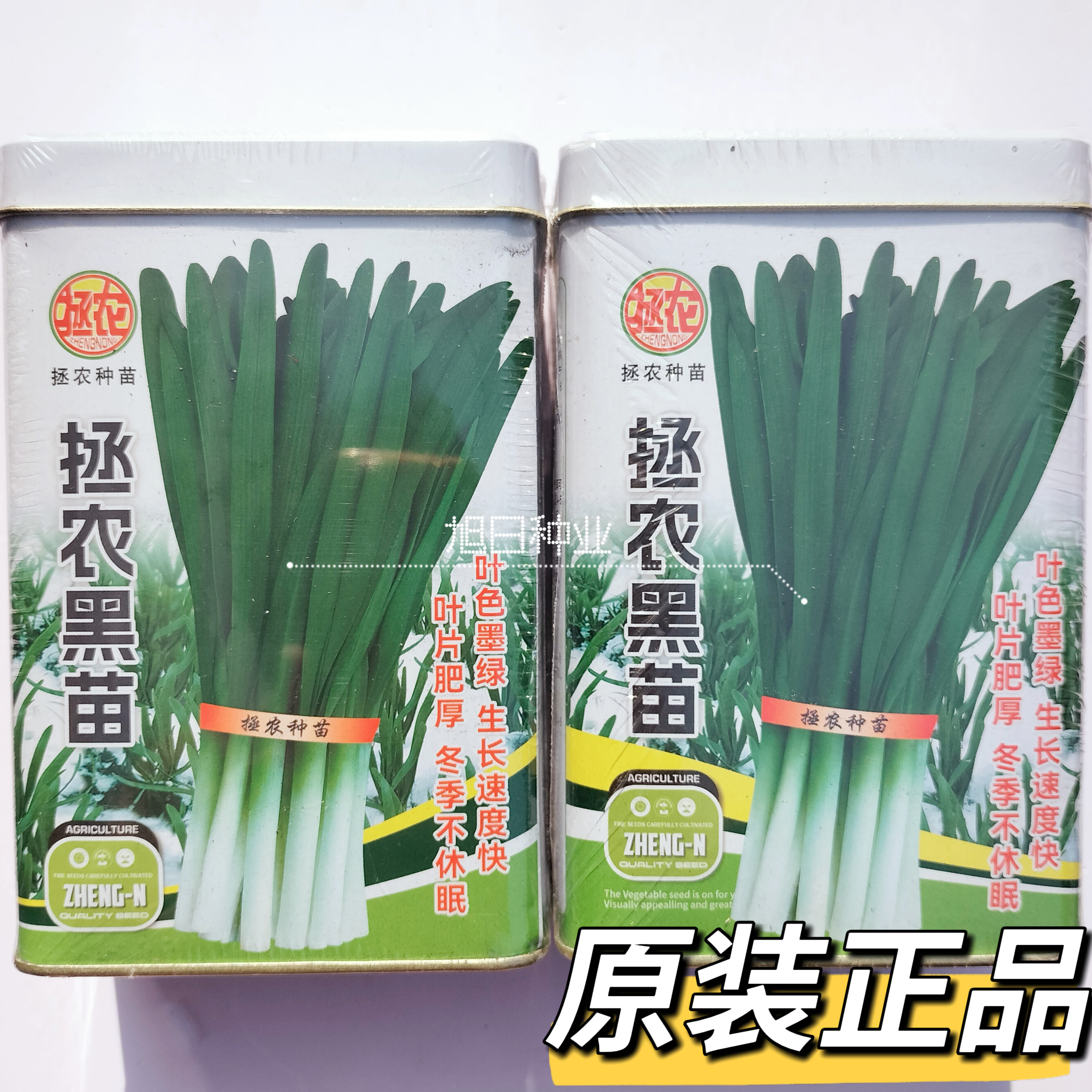拯农黑苗韭菜种子宽叶韭菜种籽高产抗病不休眠冬季不休眠韭菜种孑