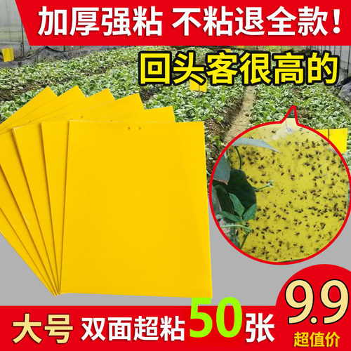 粘虫板黄色厂家直销量大从优