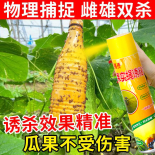 瓜果实蝇诱粘剂果绳诱捕器果树菜园大棚诱粘剂诱引剂灭针蜂引诱剂