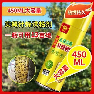 诱蝇球柑橘大实蝇粘虫球针锋药果蝇引诱剂瓜果实蝇诱粘剂诱捕神器