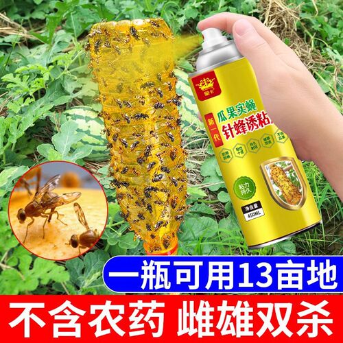 果蝇诱捕剂诱蝇球粘虫板喷剂瓜果实蝇诱粘剂菜果园果树针蜂引诱剂