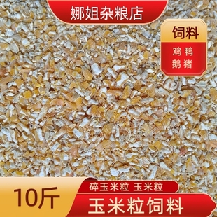 10斤新鲜纯绿色玉米碴颗粒破碎瓣 鸽子家禽鸡鸭鹅猪专用营养饲料