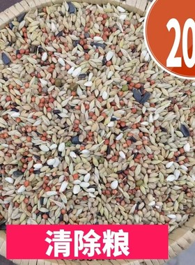 2025新粮20斤清除饲料幼鸽观赏鸽斑鸠等换毛期专用营养粮19省包邮