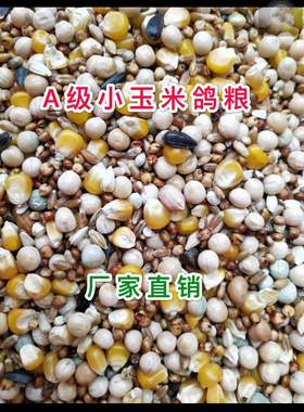 20斤装中小颗粒玉米营养赛飞鸽粮赛鸽专用粮肉鸽信鸽饲料19省包邮