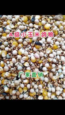 斤装小颗粒赛飞专用粮包邮信鸽