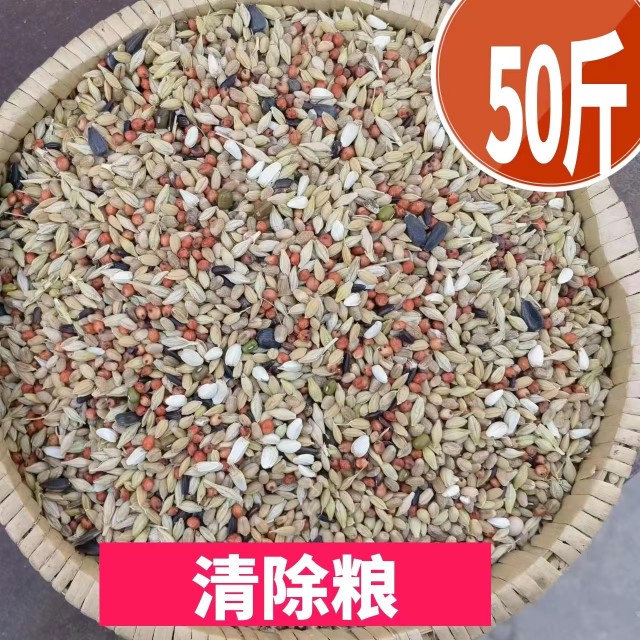 2024新粮50斤清除饲料幼鸽观赏鸽斑鸠等换毛期专用营养粮19省包邮