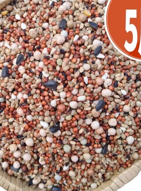 新鲜5斤新无玉米鸽子粮食营养饲料鸟食信鸽观赏鸽肉鸽幼鸽