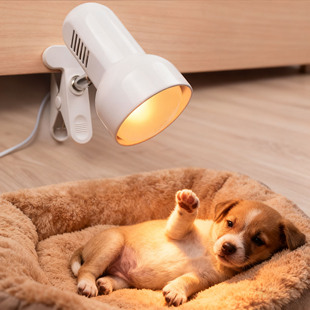 狗狗专用取暖灯宠物保温灯狗加热灯暖灯恒温小太阳幼猫小型狗宝宝