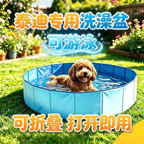 泰迪专用狗狗洗澡盆宠物小狗游泳