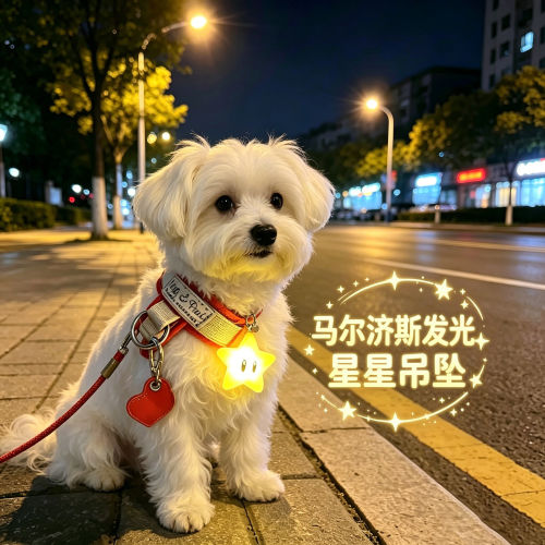 马尔济斯专用狗狗夜间发光吊坠项圈夜晚发光灯防走失遛狗胸背神器