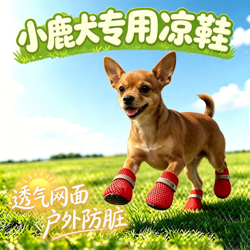小鹿犬专用狗狗凉鞋小狗鞋子夏透气宠物小型犬狗鞋夏季夏天的网鞋