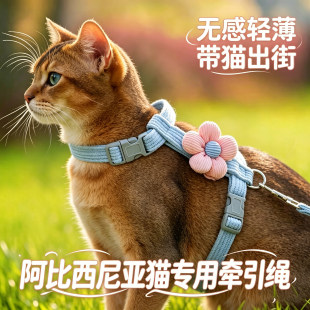 阿比西尼亚专用小猫牵引绳猫咪宠物幼猫防挣脱外出背带猫绳子出门