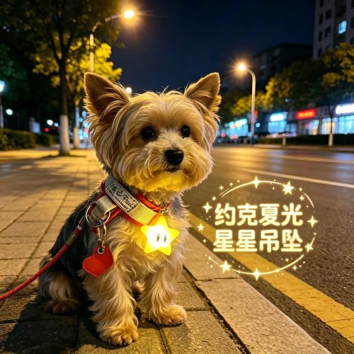约克夏专用狗狗夜间发光吊坠项圈夜晚发光灯防走失遛狗夜行灯神器