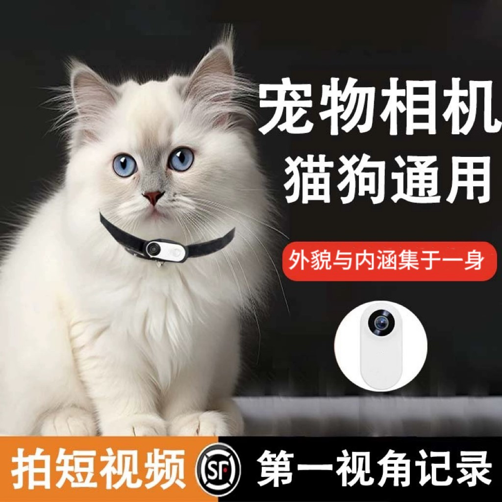 宠物记录仪猫狗视角运动录音录像防抖运动相机胸前项圈挂脖摄像头