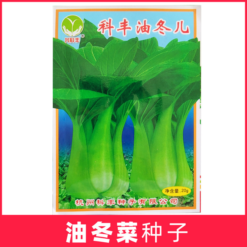 杭州科丰油冬儿长脚青菜种子青梗菜秋季播种江浙沪蔬菜籽农家阳台