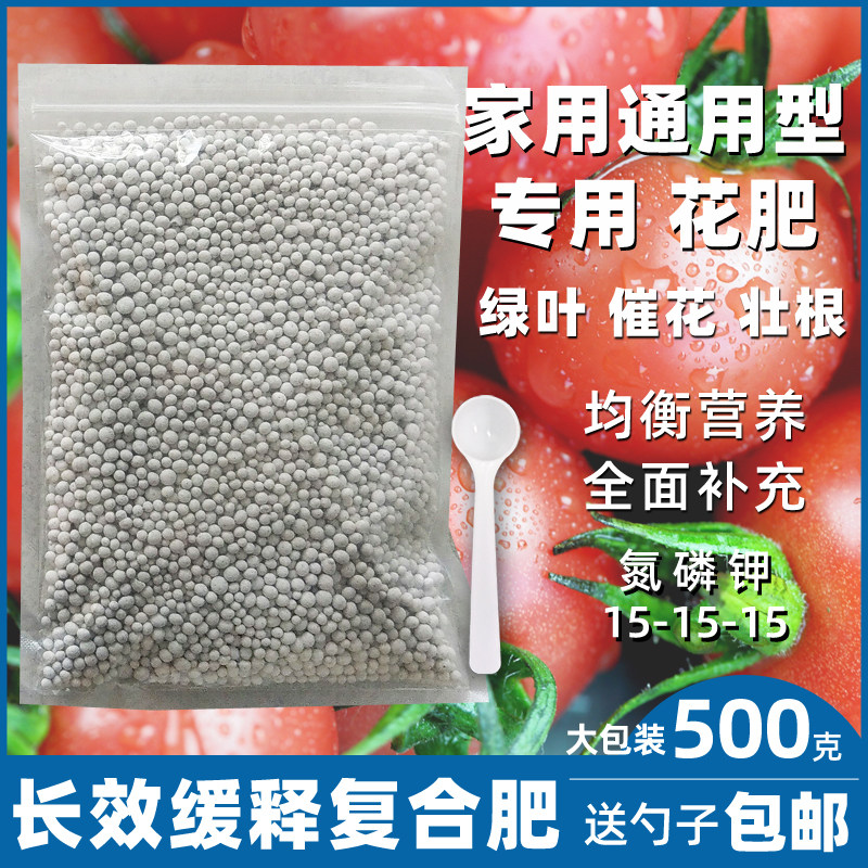 花卉绿植通用招财树速生营养