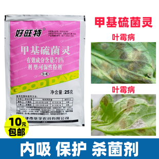好旺特甲基硫菌灵月季绣球季玫瑰番茄小麦菜叶霉病农药大全杀菌剂