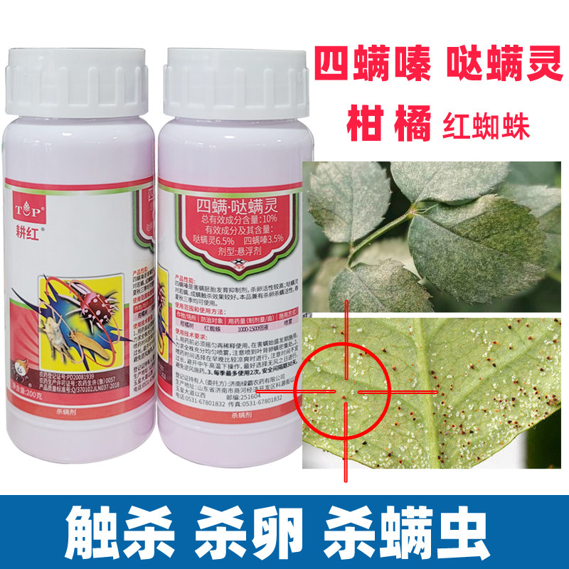 耕红四螨嗪哒螨灵柑橘树红蜘蛛专用杀虫剂果树植物农药大全除卵螨