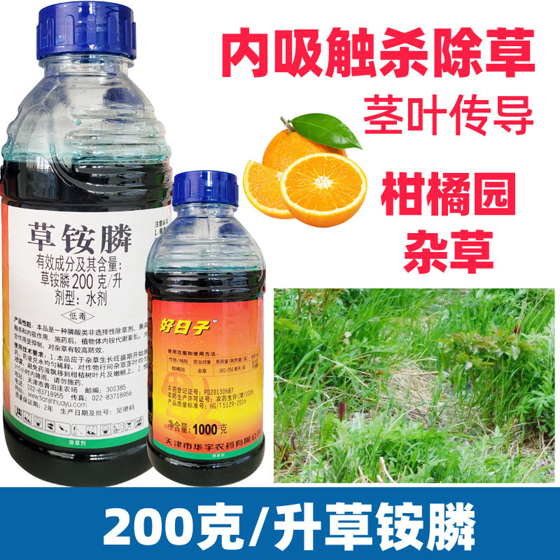 好日子草铵膦磷强力除草烂根剂正品专用柑橘园果树杀灭杂草药荒地