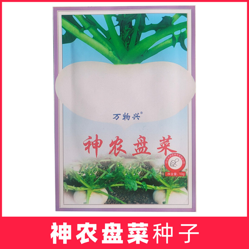 万物兴神农盘菜种子温岭台州玉环大盘菜种籽盘菜头农家蔬菜种孑